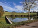 Etang de Blessey